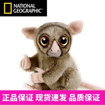 National Geographic National Geographic Simulation Animal Dolls Doll Glasses Monkey MONKEY HAIR SUEDE TOY