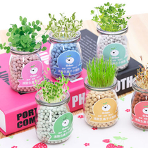 Childrens Pot Microlandscape Mini-plant Creative Negative Ion Desktop Fittings Office Little Grass Seed Pot