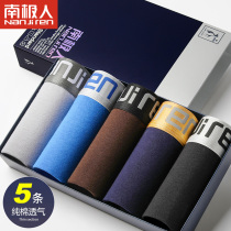 Antarctic mens underwear pure cotton youth tide personality boxer sexy sports underwear head boxer shorts pants underpants