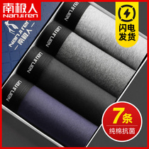 Antarctic People Pure Cotton Antibacterial Briefs Male Breathable Big Code Flat Corner Bottom Pants Youth Sexy Personality Trend Four-corner Pants Head