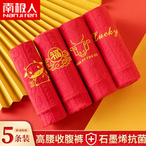 Antarctic life year high-waisted panties womens abdomen hip pure cotton antibacterial red briefs head cow gift