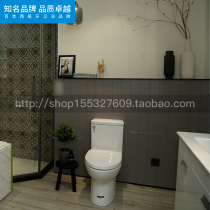 Roca Lejia bathroom Diba 34948D000 one-piece extended toilet side press one-piece jet siphon toilet