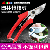 Sagawata Taiwan 120 pruning scissors Fruit tree branch scissors Gardening pruning pruning scissors Garden scissors Garden scissors