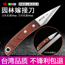 Taiwan Sagawada Japan steel Fruit tree professional grafting knife wood knife seedling branch bud knife Bonsai tool