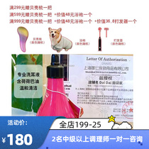 Head Home Ishanne ISB Classic Series Pet Dog Professional Wash Water