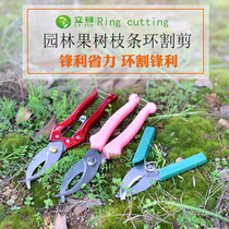 Outdoor garden fruit tree ring cutter gardening jujube tree citrus apple tree grape ring cutting scissors ring stripping device