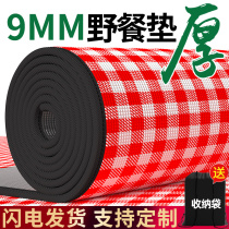 Picnic Mat Outdoor Camping Tent Sleeping Cushion Thickened Waterproof Portable Beach Mat Wild Cooking Picnic Lawn Moisture-Proof Mat