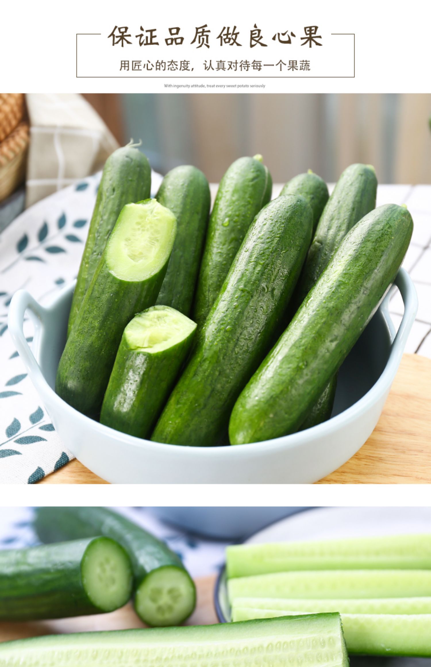 新鲜现摘水果小黄瓜青瓜海阳白玉荷兰东北旱当季蔬菜生吃5斤装_利客网
