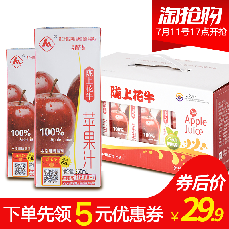 隴上花牛 100%天水花牛蘋(píng)果汁 250ml*12盒 