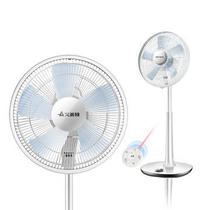 Emmett S35113BR rechargeable DC motor stand fan Household remote control frequency conversion 24 gears with battery