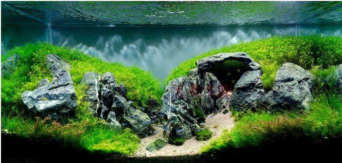 青龙石 黑白石 ada鱼缸造景 水草造景 每斤3元随机发货5斤