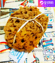 Spot Egyptian Nefertari Mediterranean Red Sea Natural Sponge Small Cleanser Makeup Remover for Bathing Baby