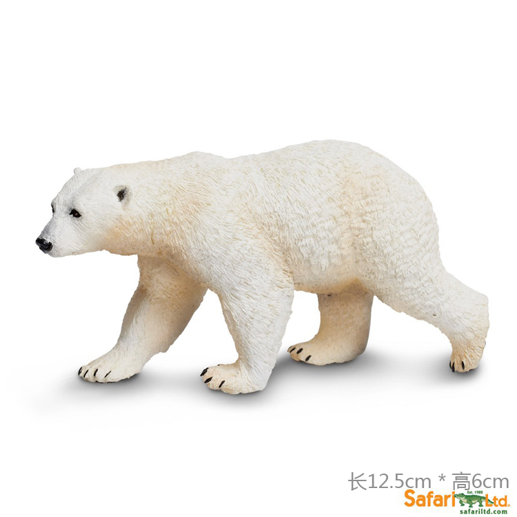 美国safari海豚保护作文北极野生动物儿童玩具北极熊海洋仿真_7折关于认知模型的英语正版图片