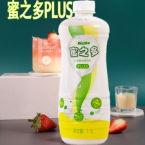 Chincho honey multi PLUS concentrated lactic acid bacteria fermented drink 1 5L beneficial bacteria multi-milk tea raw material honey more