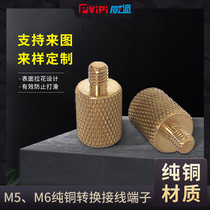 M5M6 pure copper terminal lithium battery battery conversion connector pile head over high current support customization