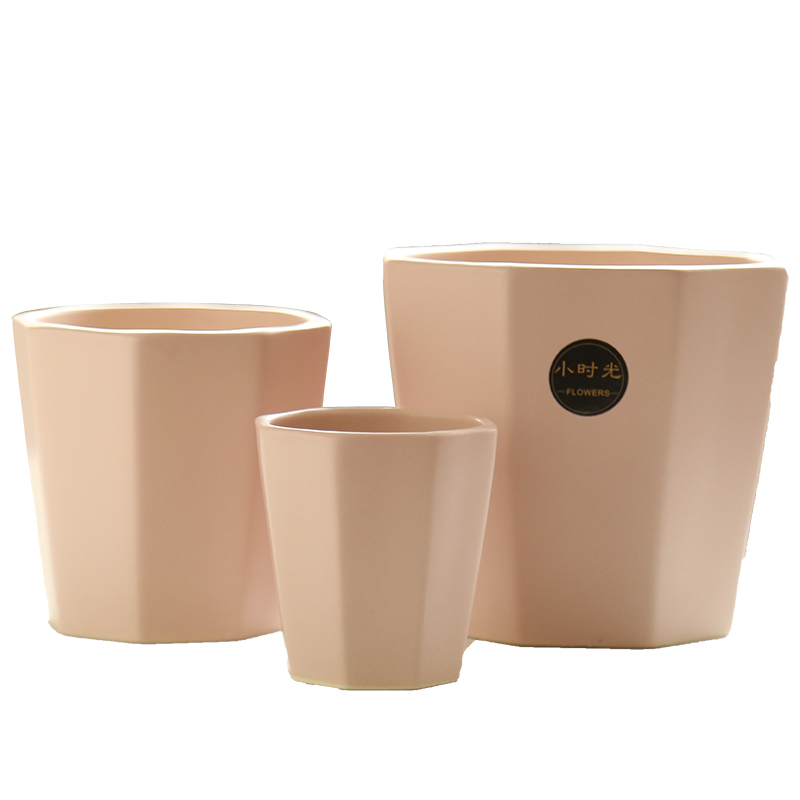 Large special offer a clearance of meat matte enrolled in flowerpot ceramics package mail household air more than other meat wholesale flower pot