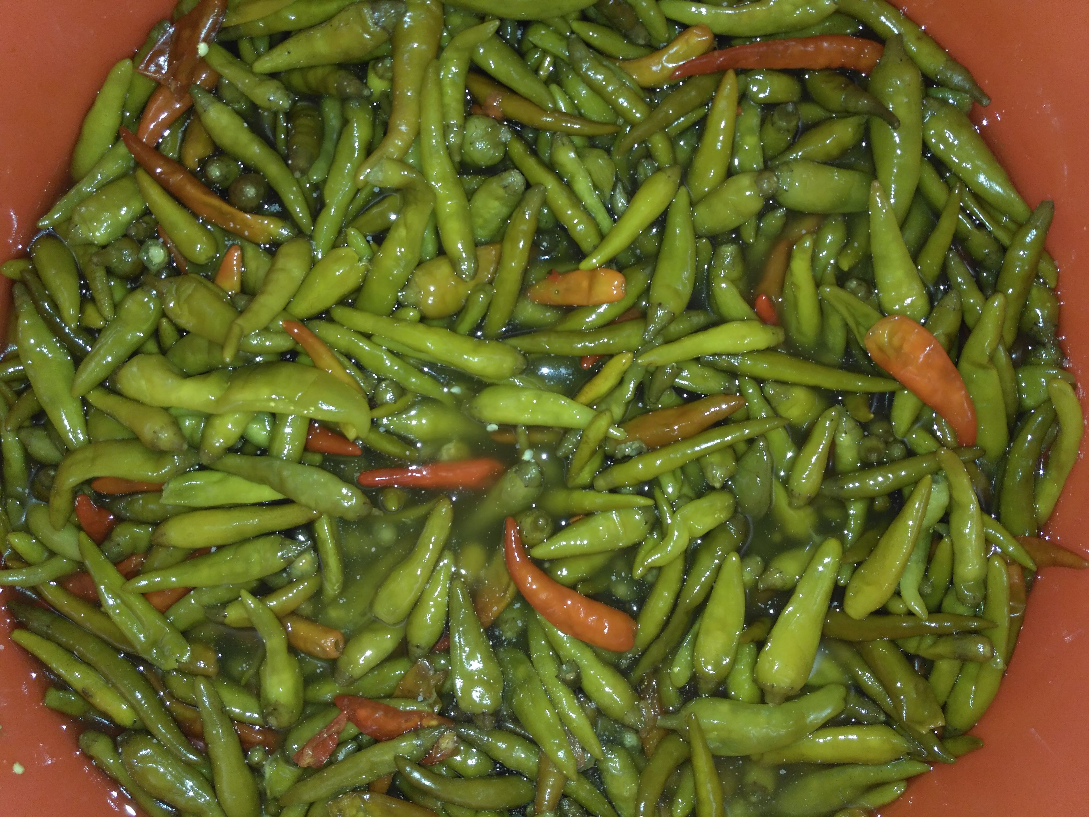 广西富川特产农家自制老坛辣椒酸辣椒糟辣椒泡菜酸菜500g买4包邮