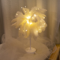 ins feather romantic night light Shop decoration girl heart bedroom bedside net red light warm creative small table lamp