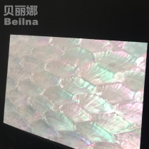 Shell Paper Natural Scallop Sheet Donkey Earbe creative eco-friendly sculpted floral inlaid wall Decorative Materials Factory Direct