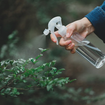 Flowers open with transparent small spray jug spray bottle watering flowers Home watering multi-meat water spray pots 300ML gardening tools