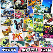 Studio copy manuscript landscape Animal Flower Fruit sketch art fan painting gouache acrylic oil painting copy card