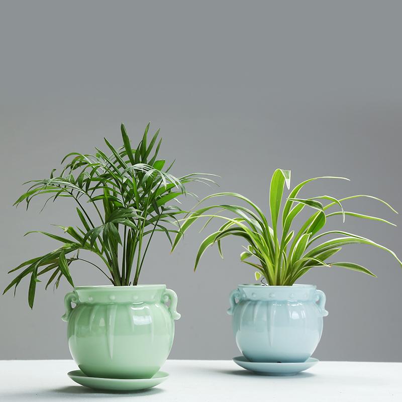 More meat meat plant POTS ceramic furnishing articles household green the plants potted flower POTS unique American desktop decoration