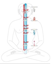 The knot is buzzing with the view of the veins The view of the veins is thought to be buzzing the view of the King Mousmanza is trying to figure the double-sided plastic package
