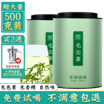 Gorgeous green tea leaves 2021 buds Xinyang flavor Mao Jian tea tea tea canned bulk 500g