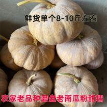 Grinding disc Old variety yellow skin old pumpkin powder waxy sweet open-air planting Natural mature seasonal vegetables Pregnant baby food supplement