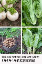 Chongqing Season Fresh Vegetables Mix Vegetable Farm Home Dish Arbitrary Mix With Seasonal Dish Shipped 3 catties 5 kilos of Shunfeng