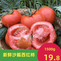 Sand flesh tomatoes sparse fruit fresh tomatoes can be eaten raw farm vegetables seasonal fruit 3 pounds now pick fresh fruit delivery