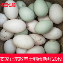 Sichuan Chongqing duck eggs fresh farm free-range wild duck eggs soil duck eggs fresh on the day now picked up and sent 20 pieces