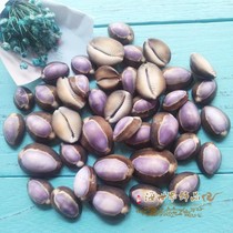 Natural conch shell purple treasure snail fish tank Aquarium landscaping decorative floor ornaments wall-mounted handmade DYI jewelry