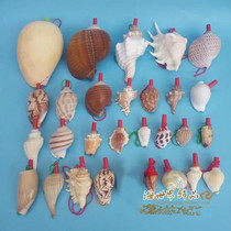 Natural conch shell Super sea snail Whistle Crafts Creative gifts Childrens toys Stall Night Market