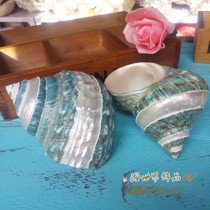 Natural conch shell Oversized green salamander snail Aquarium fish tank landscaping Mediterranean home furnishings Hermit crab shell collection