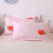 Pillow case Pillow cases Pillow cover Pillowcase Pillowcover