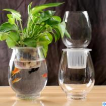 Glass vase hydroponic plant desktop money plant flower pot