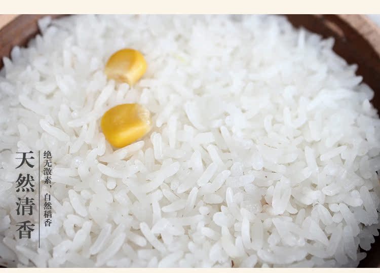 新米大米广东南方富硒丝苗米农家米食用米绿色非转基因长粒米5kg