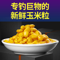 Tender corn bait wild fishing Big thing special grass Herring carp fishing sweet corn direct adhesive hook corn bait