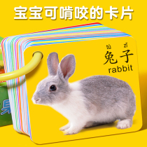 Color Card Baby Early Teaching Card Black and White Card Focus Training Visual Inspiration for Childrens Puzzle Toys