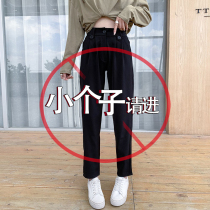 Small 150cm radish pants spring and autumn father Haren pants thin hanging high waist loose Joker ankle-length pants