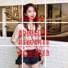 庄庄 chic港味复古仙鹤衬衫女夏学生宽松短袖衬衣ins超火的上衣潮