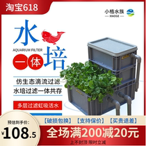 Small G Homemade Ecological Fish Pond Fish Tank Filter Outdoor External Swamp Water Bacon Carp Water Circulation System Filter Box