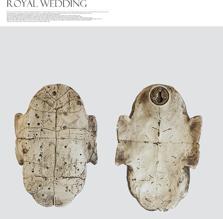 甲骨文龟壳个性装饰甲骨文软装树脂配件古玩古玩学道杂项精美学校