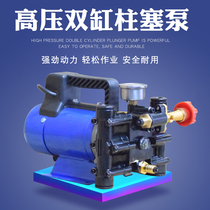 Portable 12V48V60V220 volt high-pressure double cylinder plunger drug pump dosing machine agricultural electric fruit tree sprayer