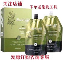 Kay Gorgeous Hair Cream Daya Silk Show CLEAN WATER BLACK OIL COVER WHITE HAIR NATURAL BLACK WITH CLEAR WATER HAIR SALON BLACK OIL