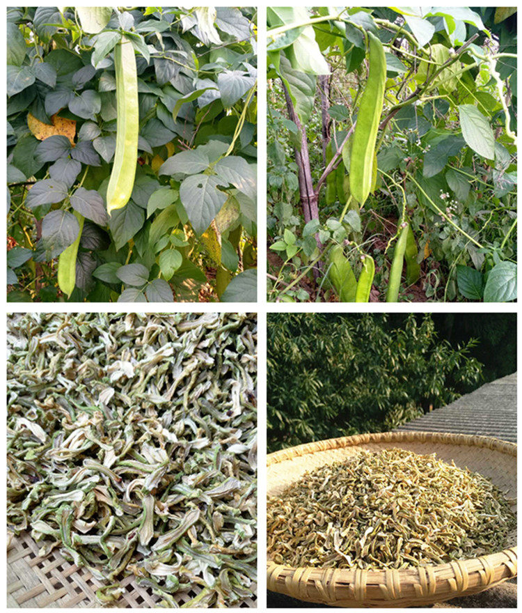 邵阳邵东特产新鲜刀把豆农家自产晒干 制作传统味道坛子扎菜食材