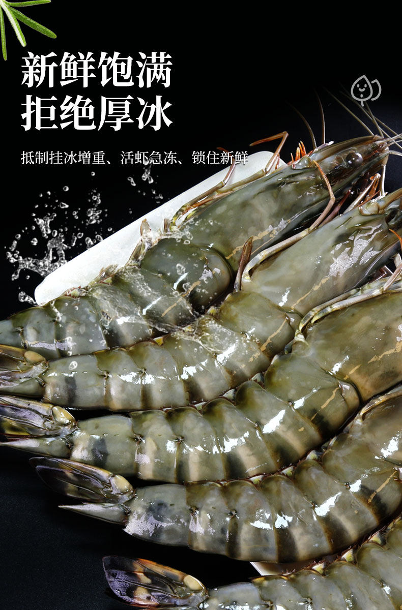 aaa级诚信企业渔公码头冷冻越南黑虎虾去冰净重350g盒