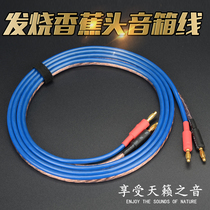 Fever grade gold-plated banana head Horn wire horn wire winding power amplifier connected to audio cable