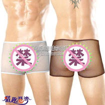 A piece of mens sex underwear sexy perspective underwear boxers gay back court mesh fabric D304